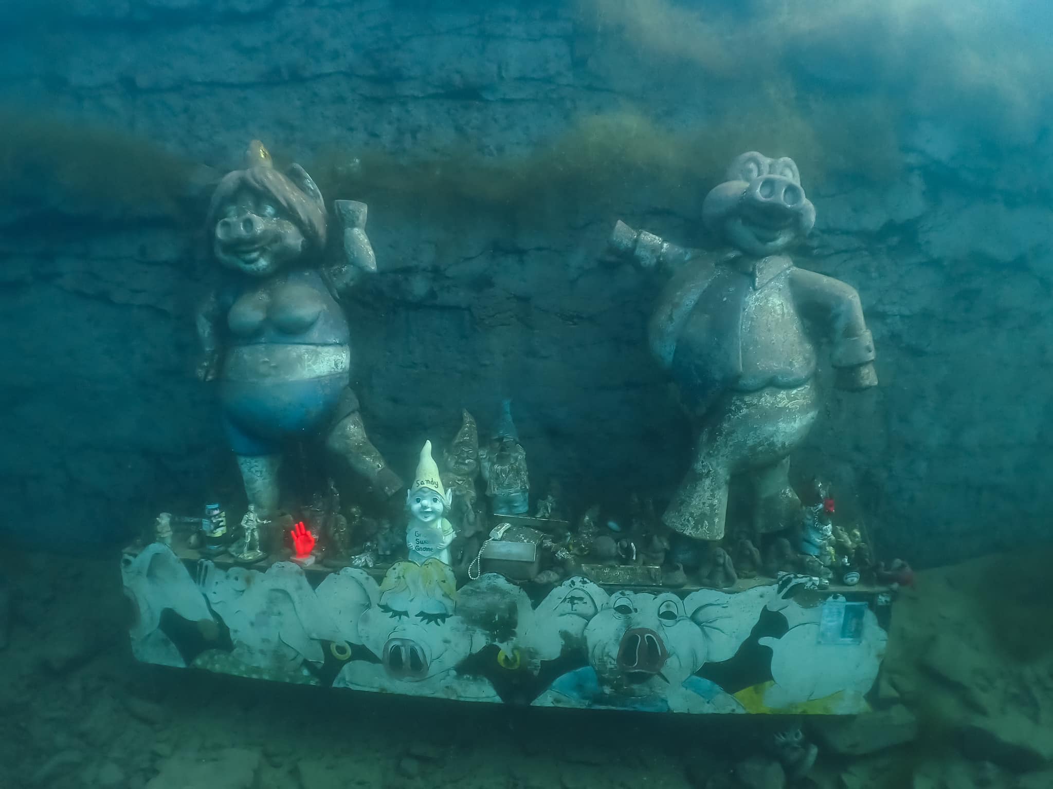 Capernwray's gnome garden