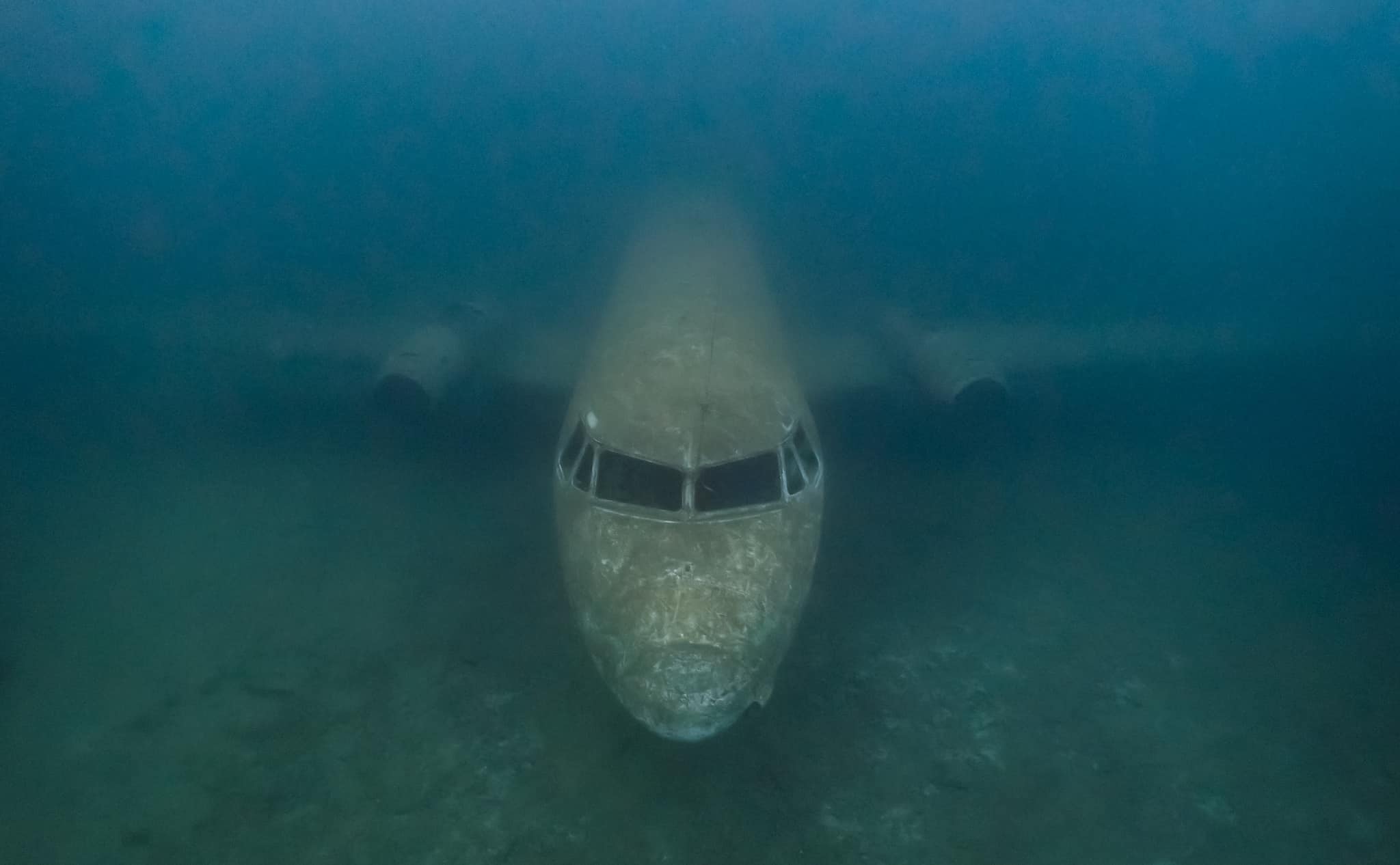 Hawker Siddeley 748 (Credit: Graeme Parker)